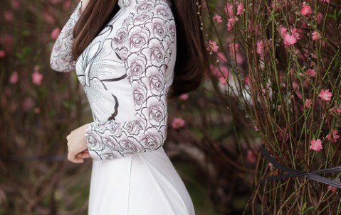 探索胎儿DNA检测，了解方法与重要性